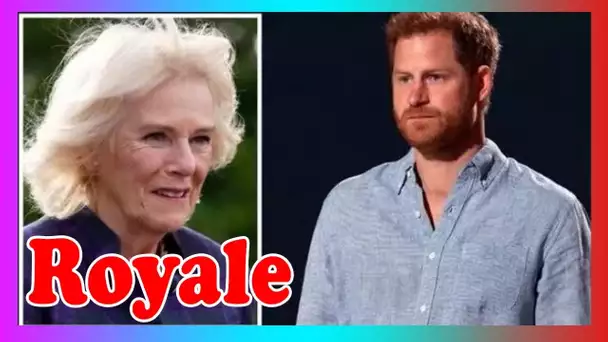 Le prince Harry a av3rti que la saleté sur Camilla ''pourrait en fait l'aider''