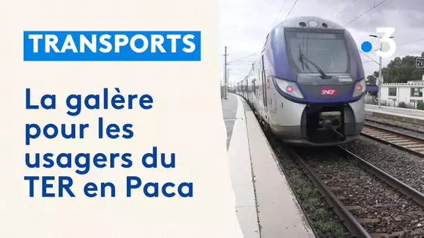 Des trains trop peu nombreux, les petites gares délaissées,... Les usagers du TER mécontents en Paca