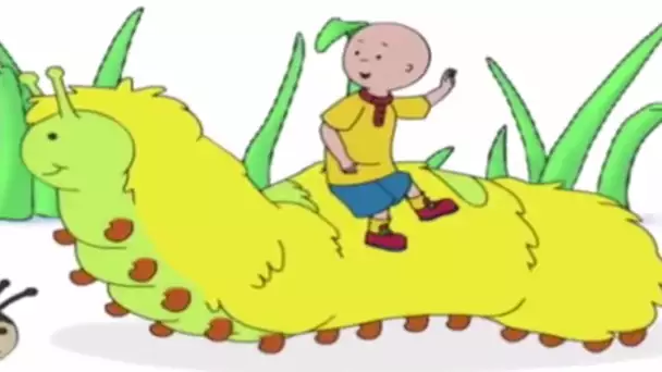 Caillou et la Chenille | Caillou en Français