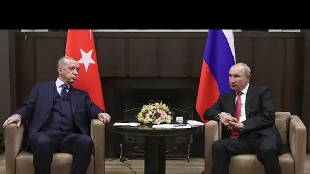 Accord céréalier en mer Noire : Erdogan attendu lundi en Russie