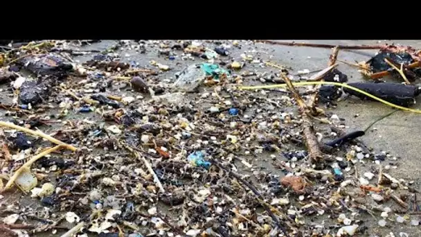 La pollution aux microplastiques de plus en plus présente dans les océans