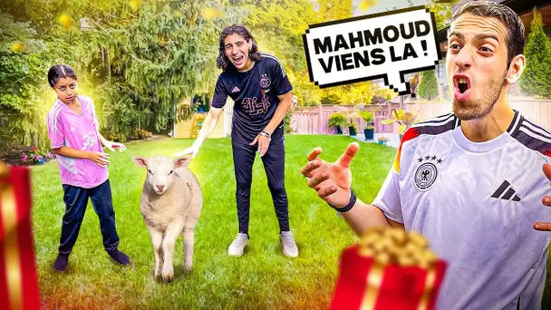 ON ADOPTE UN BÉBÉ MOUTON POUR L'AID ? 🥳 (vraiment incroyable)