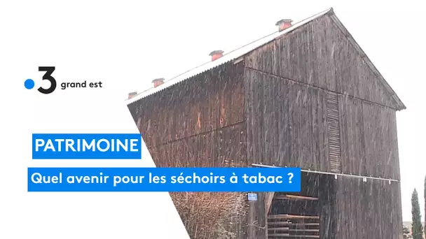 L'avenir des séchoirs à tabac en Alsace