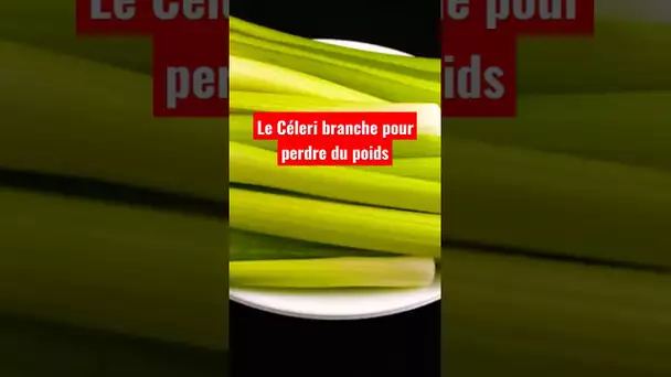 Le céleri branche pour perdre du poids