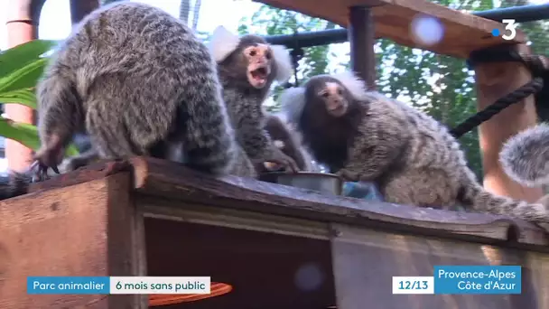Le confinement vécu les animaux du parc Phœnix dans les Alpes-Maritimes
