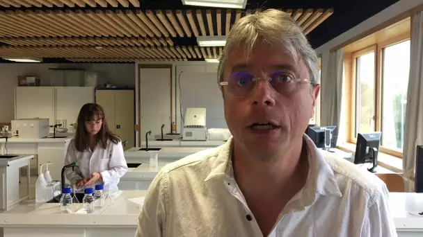 Apprentissage : interview de Vincent Genty, intervenant extérieur BTS Biotechnologies