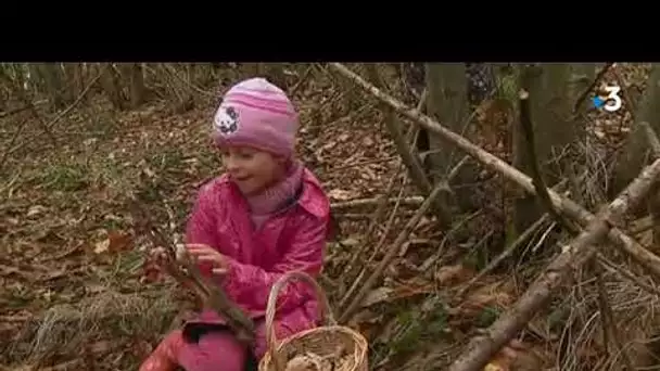 Haute-Vienne : les enfants apprennent à reconnaître les champignons