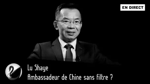 Ambassadeur de Chine sans filtre ? Lu Shaye [EN DIRECT]