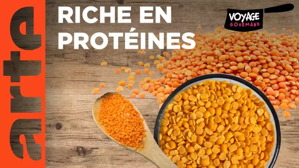 Tout sur les lentilles | Voyage gourmand | ARTE Family