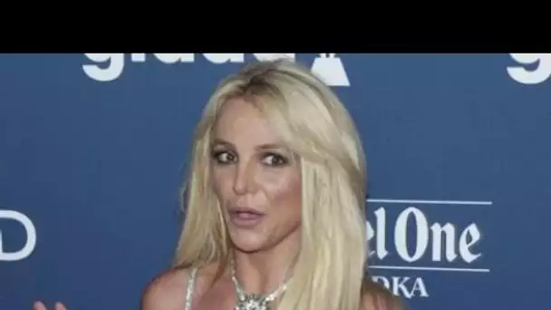 PHOTO Britney maman ? La chanteuse prend la pose avec un biberon dans un post...