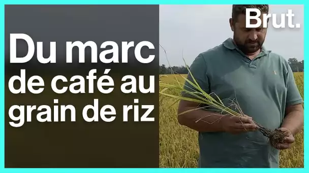 Enrico transforme le marc de café en compost