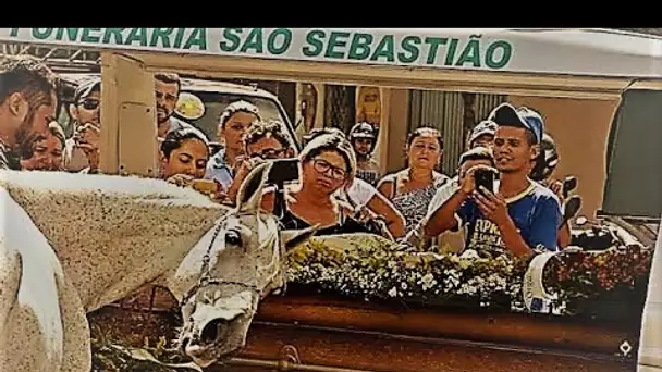 Lors d'un enterrement, un cheval s'est approché pour exprimer ses derniers adieux à son plus ....