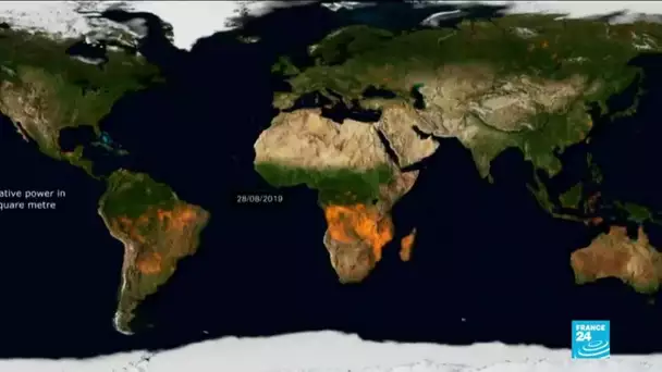 Incendies à travers le monde : 2019, une année record pour les feux de forêt