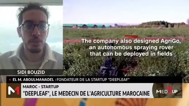 #MediUP / "Deepleaf", le médecin de l'agriculture marocaine