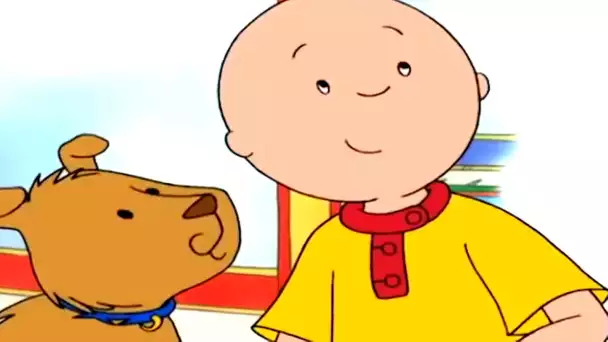 Caillou et le Chiot | Caillou en Français