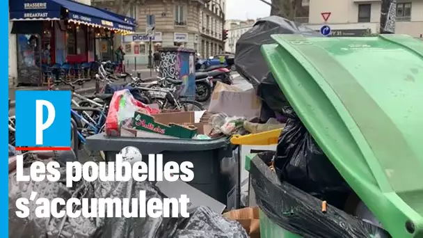 Incinérateurs en grève : les rues de Paris envahies de déchets