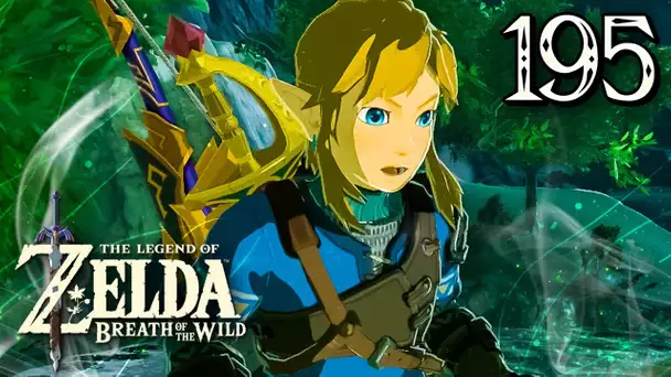 ZELDA BREATH OF THE WILD #195 : POUVOIR DE LA VIE !