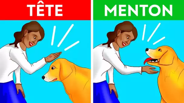 Comment approcher un chien de la bonne façon et en toute sécurité