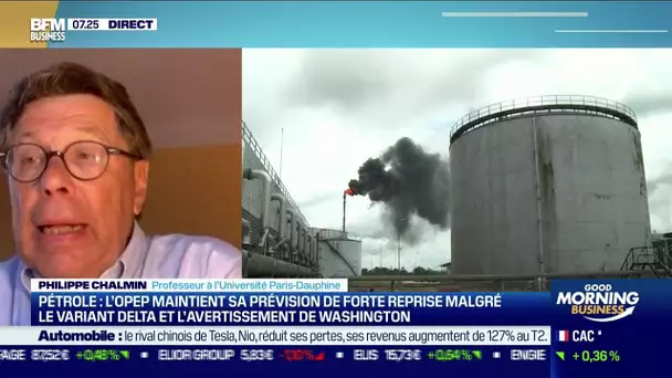 Philippe Chalmin (Université Paris-Dauphine) : L'OPEP maintient sa prévision de reprise
