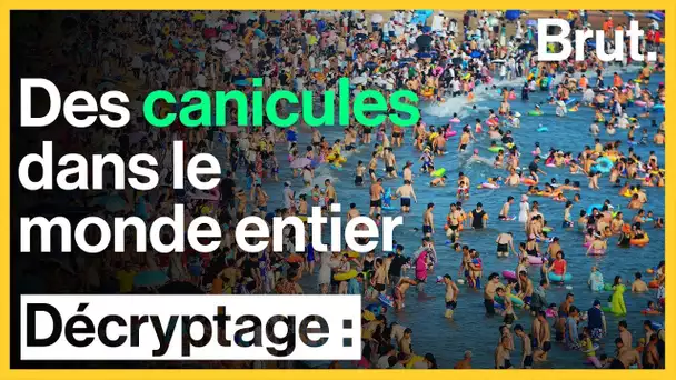 Des canicules dans le monde entier