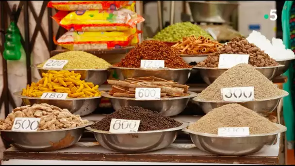 Cuisine indienne, à toutes les sauces : La reine des épices
