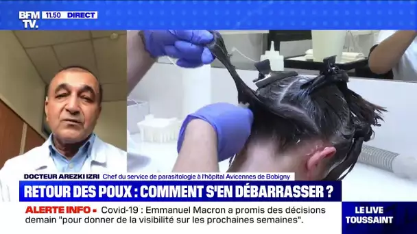 Retour des poux: comment s'en débarrasser ? BFMTV répond à vos questions