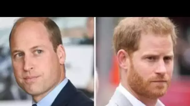 La faille de Harry et William dévoilée à Pâques avant la sortie royale en l'absence de Meghan