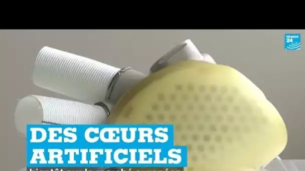 Cœurs artificiels : une entreprise française autorisée à commercialiser son dispositif en Europe