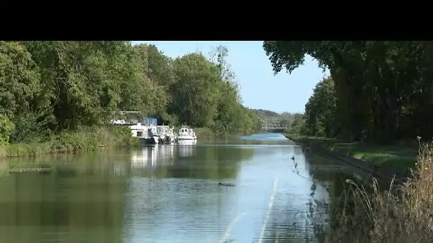 Yonne : des plaisanciers coincés au port de Saint-Florentin à cause de la sécheresse