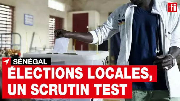 Élections locales au Sénégal : un scrutin aux allures de test national • RFI
