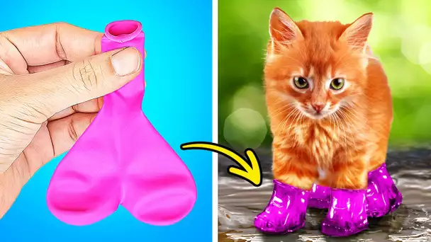 ADORABLES ASTUCES POUR LES ANIMAUX SUR TIKTOK | GADGETS BRILLANTS ET CRÉATIONS AMUSANTES