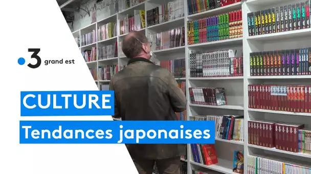 Culture japonaise : de plus en plus d'adeptes en France et en Alsace