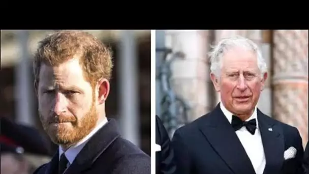 Le prince Harry abandonne la médaille du couronnement du roi Charles après un snobisme à la fête d'a