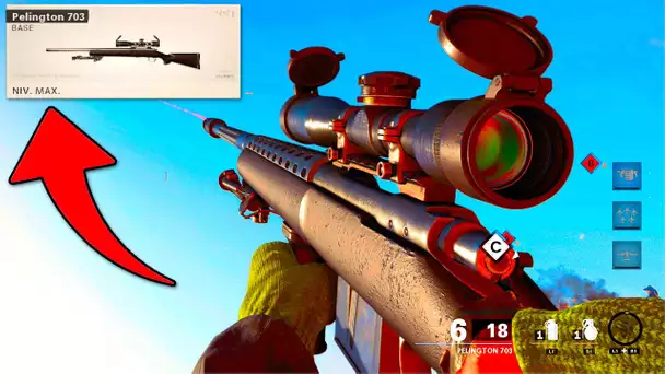 Je débloque un Accessoire SECRET sur BLACK OPS COLD WAR ! (Sniper Pelington 703 Gameplay)