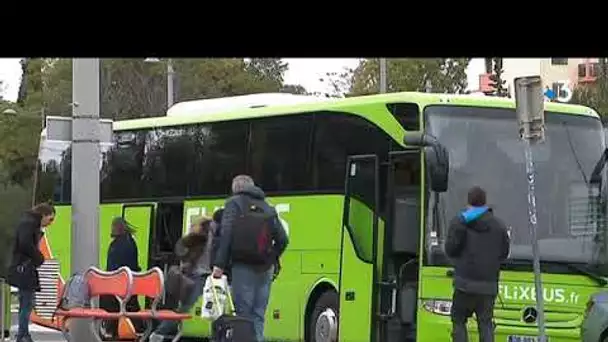 Montpellier : les dessous des compagnies de bus "low cost"