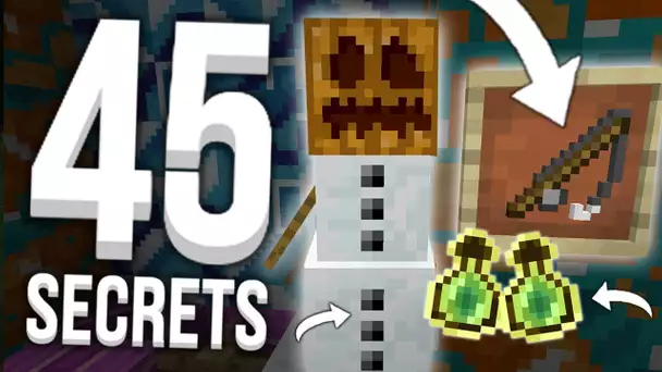 45 SECRETS QUE VOUS NE SAVEZ PROBABLEMENT PAS SUR MINECRAFT !