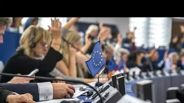 Les élections européennes relancent le débat sur le droit de vote à 16 ans