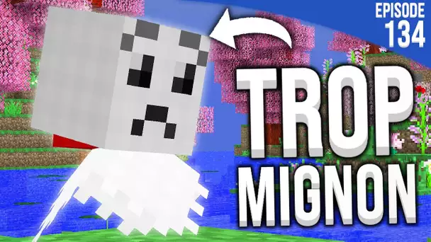 MON NOUVEL ITEM DE COMPAGNIE !  | Minecraft Moddé S4 | Episode 134