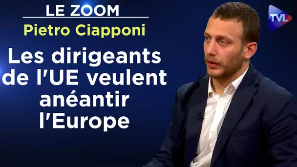 Une coordination européenne et russe contre les USA ? - Le Zoom - Pietro Ciapponi - TVL