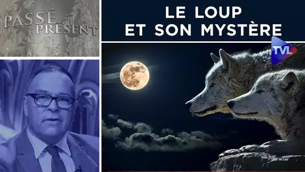 Le loup et son mystère - Passé-Présent n°313 - TVL