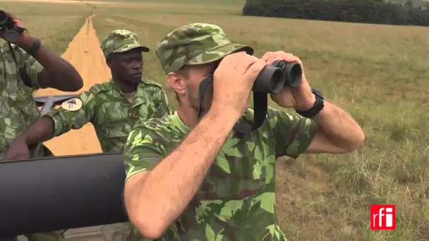 Gabon : un patrimoine naturel à protéger d'urgence