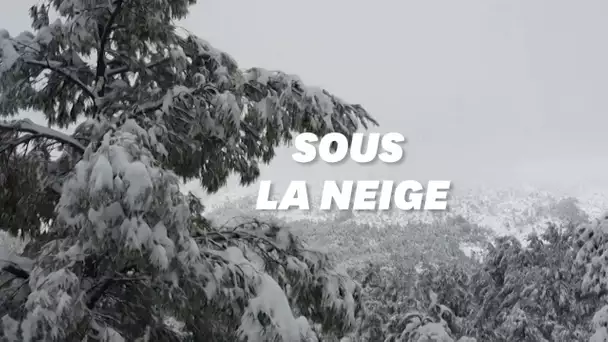 Même la Grèce n'a pas été épargnée par la vague de froid et de neige