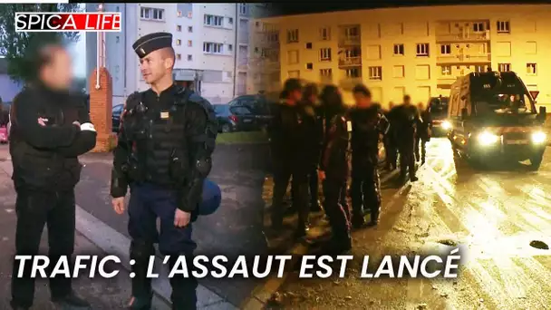 Cité sous le choc : la brigade spéciale déclenche l'assaut