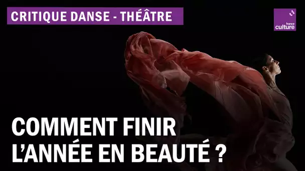 Danse et théâtre : quel spectacle aller voir pour finir l'année en beauté ?