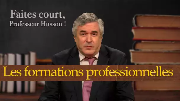 [Format court] La place accordée aux formations professionnelles - Faites court professeur Husson