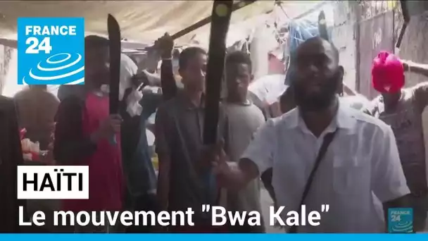Haïti : le mouvement "Bwa Kale", ces groupes d'autodéfense qui prennent les armes face aux gangs