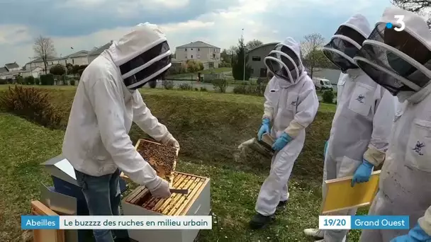 Autour des Rennes, des ruches au coeur des entreprises