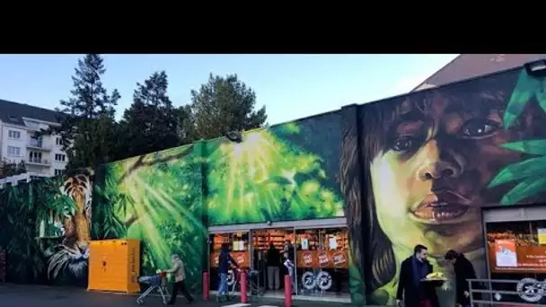 Nantes : Une fresque en hommage au « Livre de la jungle » recouvre un supermarché