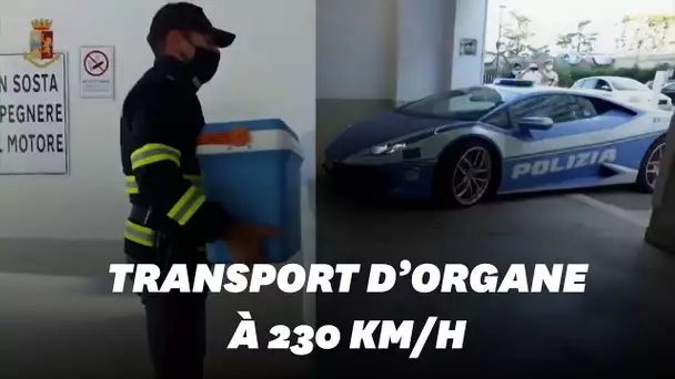La police Italienne livre un rein à 230 km/h en Lamborghini