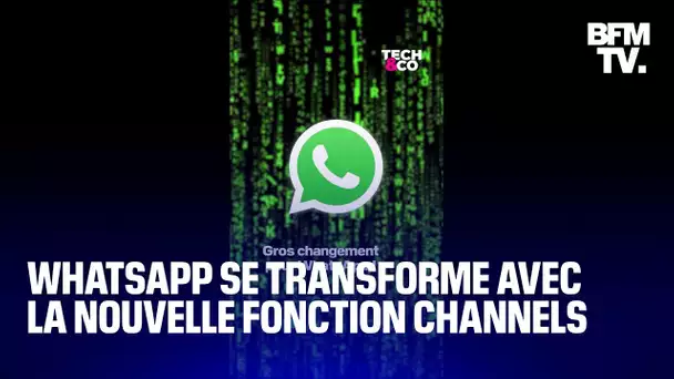 WhatsApp se transforme avec la nouvelle fonction Channels
